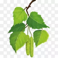 高清电视4k分辨率智能电视164см-桦树-空若网 高清电视4k分辨率智能电视164см-桦树-空若网