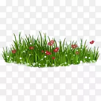 ¼ôÌù»Â¶ÌìͼƬÃâ·ÑÄÚÈݲݸßÇå-¿ÕÈôÍø ¼ôÌù»Â¶ÌìͼƬÃâ·ÑÄÚÈݲݸßÇå-¿ÕÈôÍø