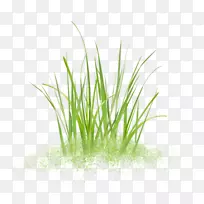 �����ֲ�����ˮ��ݸ߲�-������