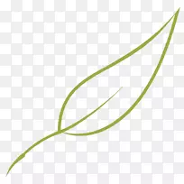 绿叶草图形植物茎叶-空若网 绿叶草图形植物茎叶-空若网