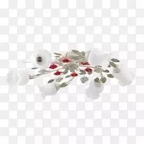 吊灯灯饰灯具花灯设计白炽灯泡-空若网 吊灯灯饰灯具花灯设计白炽灯泡-空若网