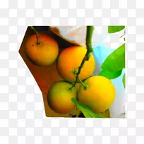 ���ʾ�����Ӱʳ������-������