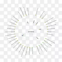 ��Ʒ����߽�-GoogleAdWords�ձ�-������