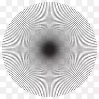 对称产品设计.归化刺猬-空若网 对称产品设计.归化刺猬-空若网