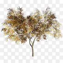 小枝png图片剪辑艺术树土坯Photoshop树-空若网 小枝png图片剪辑艺术树土坯Photoshop树-空若网