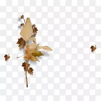 昆虫女花童秋画-空若网 昆虫女花童秋画-空若网