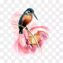 水彩画图像绘画剪贴画-空若网 水彩画图像绘画剪贴画-空若网