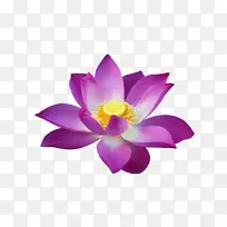 ��ʥ������.�����ʲ���-��������-������