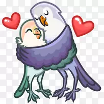 ������ֽ�籨VKontakte-������-������