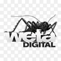 Weta数码经验丰富的电脑动画标志,指环王-指环王-空若网 Weta数码经验丰富的电脑动画标志,指环王-指环王-空若网