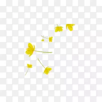 �����ֽ�������ֲ�ﾥ����ֲ��-ֲ��-������