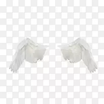 颈-空若网 颈-空若网