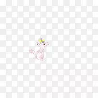 线身珠宝-巴拉塔佛罗里达森林蟑螂-空若网 线身珠宝-巴拉塔佛罗里达森林蟑螂-空若网