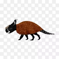 食肉动物区系陆禽喙野生动物-厚鼻龙-空若网 食肉动物区系陆禽喙野生动物-厚鼻龙-空若网