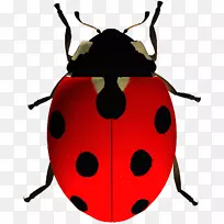 À¥³æ¼ôÌù»pngͼƬư³æ¼×³æÆ°³æ-À¥³æ-¿ÕÈôÍø À¥³æ¼ôÌù»pngͼƬư³æ¼×³æÆ°³æ-À¥³æ-¿ÕÈôÍø