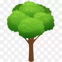 剪贴画图像开放部分png图片树.李树-空若网 剪贴画图像开放部分png图片树.李树-空若网