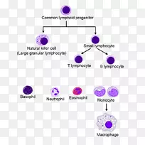 产品设计图形品牌造血-空若网 产品设计图形品牌造血-空若网