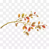 �＾��һ��ѧУͼ��pngͼƬ.�＾��֦-������