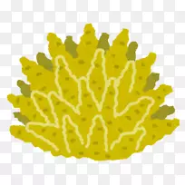 ɺ�����⸽��ʯ��ĩ-����Ϳ�ɻ�ɫ-������