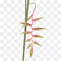 ������ݣ�ţ�ţ���Ϻ-צ�ӣ�ľ�黨����-������