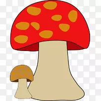 剪贴画真菌蘑菇图像摄影-蘑菇-空若网 剪贴画真菌蘑菇图像摄影-蘑菇-空若网