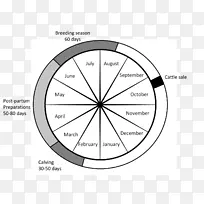 ���г���������Բͼ-������