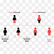 �Ŵ��ϰ��Ŵ�ѧ�Ŵ������Ŵ���ѯ-�Ŵ�ѧ-������