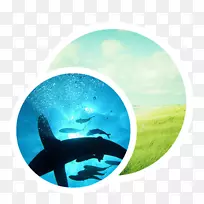 �����л���ˮ-APPԤ��-������