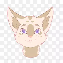 胡须,小猫,狗鼻子,插图-小猫-空若网 胡须,小猫,狗鼻子,插图-小猫-空若网