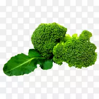 西兰花png图片剪辑艺术十字花科蔬菜.西兰花-空若网 西兰花png图片剪辑艺术十字花科蔬菜.西兰花-空若网
