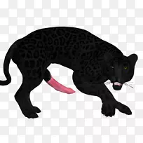 ��è½����������ʨҰ�����ﱪ-������