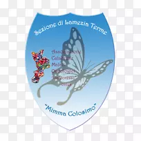 microsoft azure纹身短信-潘内萨-空若网 microsoft azure纹身短信-潘内萨-空若网