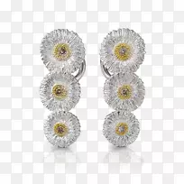 耳环身躯珠宝花伴娘首饰镶红色水晶耳环,布里-空若网 耳环身躯珠宝花伴娘首饰镶红色水晶耳环,布里-空若网