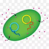 e���󳦸˾��������ʻ��򹤳̻�еEindhoven������ѧ-�󳦸˾�-������