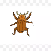 蟑螂昆虫剪贴画食物动画-空若网 蟑螂昆虫剪贴画食物动画-空若网