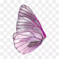 蝴蝶png图片仙女翅膀剪贴画蝴蝶-空若网 蝴蝶png图片仙女翅膀剪贴画蝴蝶-空若网