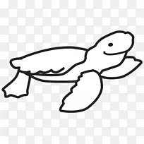 剪贴画昆虫线食肉动物植物-海龟-空若网 剪贴画昆虫线食肉动物植物-海龟-空若网