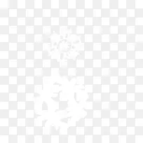 ��Ʒ�����߶���-ѩ��-������