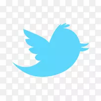 ������pngͼƬ����ͼ��ͼ��ͼƬ-png twitter-������