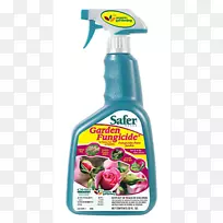 杀虫剂安全3/1花园喷雾杀菌剂32盎司安全品牌5118gal-32浓缩杀虫皂虫-空若网 杀虫剂安全3/1花园喷雾杀菌剂32盎司安全品牌5118gal-32浓缩杀虫皂虫-空若网