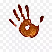 生物手指-光星-空若网 生物手指-光星-空若网