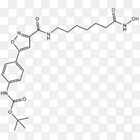 组蛋白去乙酰化酶细胞酶抑制剂hdac6-DNA损伤-空若网 组蛋白去乙酰化酶细胞酶抑制剂hdac6-DNA损伤-空若网