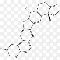 拓扑异构酶抑制剂Ⅰ型拓扑异构酶-DNA损伤-空若网 拓扑异构酶抑制剂Ⅰ型拓扑异构酶-DNA损伤-空若网