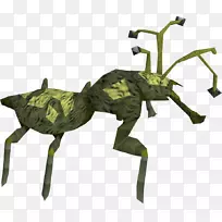 龙舌兰昆虫洞穴维基剪贴画-经典维基-空若网 龙舌兰昆虫洞穴维基剪贴画-经典维基-空若网