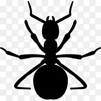 剪贴画蚂蚁昆虫节肢动物图形昆虫-空若网 剪贴画蚂蚁昆虫节肢动物图形昆虫-空若网