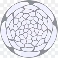 对称图案字体足球-浴室瓷砖-空若网 对称图案字体足球-浴室瓷砖-空若网