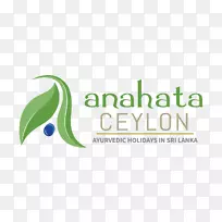 产品设计标志商标字型-空若网 产品设计标志商标字型-空若网