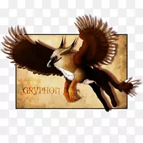 野生动物食肉动物-胡须秃鹫-空若网 野生动物食肉动物-胡须秃鹫-空若网