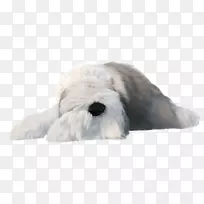 狗繁殖小狗毛绒动物&可爱的玩具鼻子-小狗-空若网 狗繁殖小狗毛绒动物&可爱的玩具鼻子-小狗-空若网