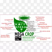 Ʒ��������m-��-����-������